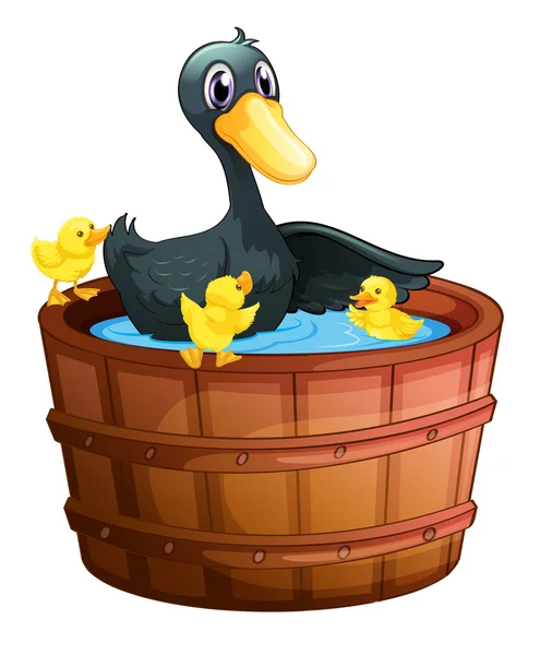 Ducks taking a bath — Stock Vector