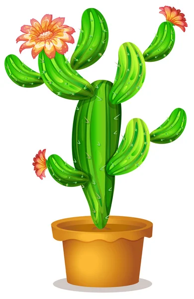 Une plante de cactus aux fleurs — Image vectorielle
