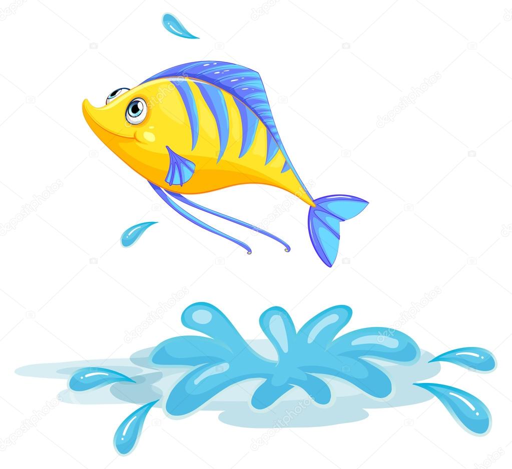 A yellow fish