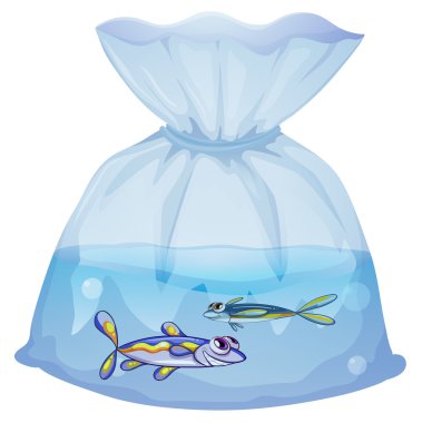 A plastic pouch with two fishes clipart