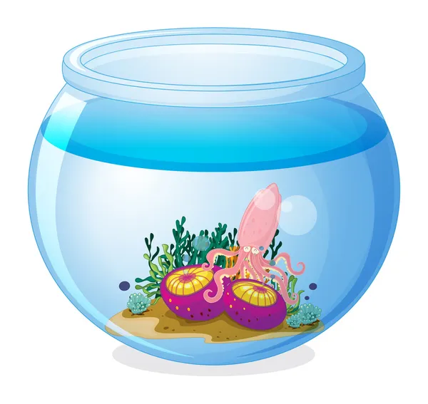 Uma tigela com uma lula e duas medusas —  Vetores de Stock