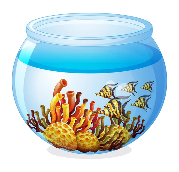 Sebuah akuarium dengan ikan - Stok Vektor