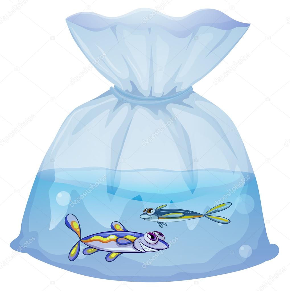 A plastic pouch with two fishes