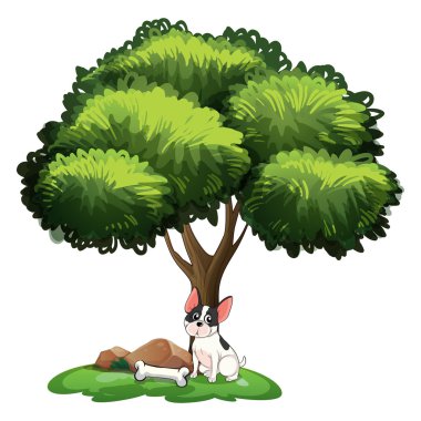 köpek ağacının altında