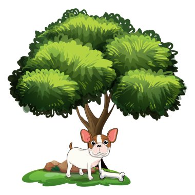köpek ağacının altında