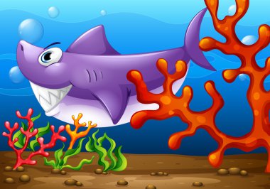 Deniz altında büyük bir balık