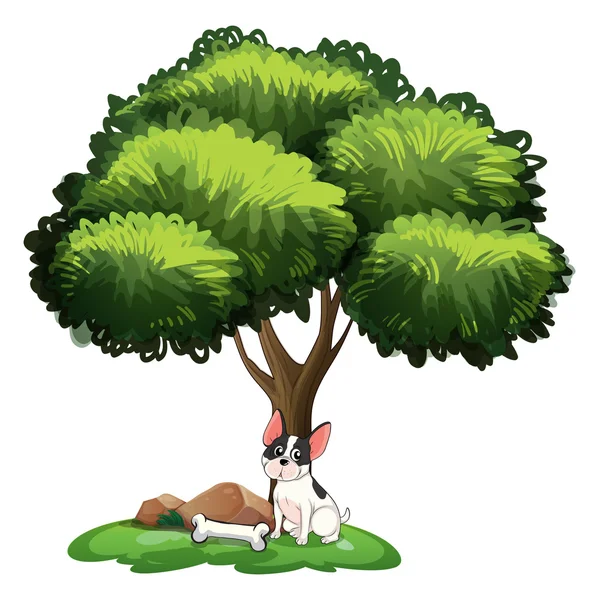 Pies pod drzewem — Wektor stockowy