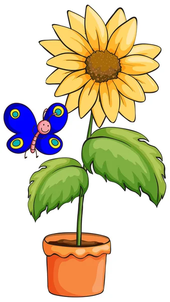 A butterfly near the pot with a flowering plant — Stock Vector