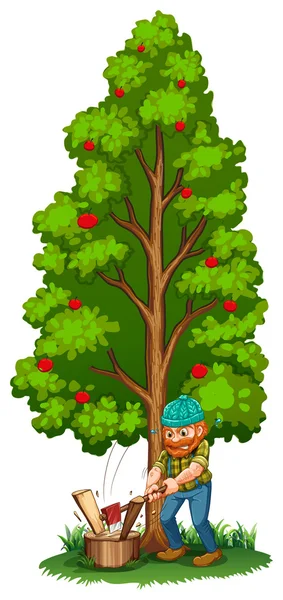 En man hugga nära uthärda fruktträd — Stock vektor