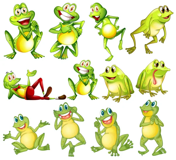 Set of frogs — Stock Vector