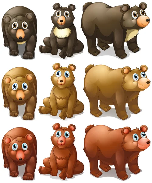 Collection d'ours — Image vectorielle