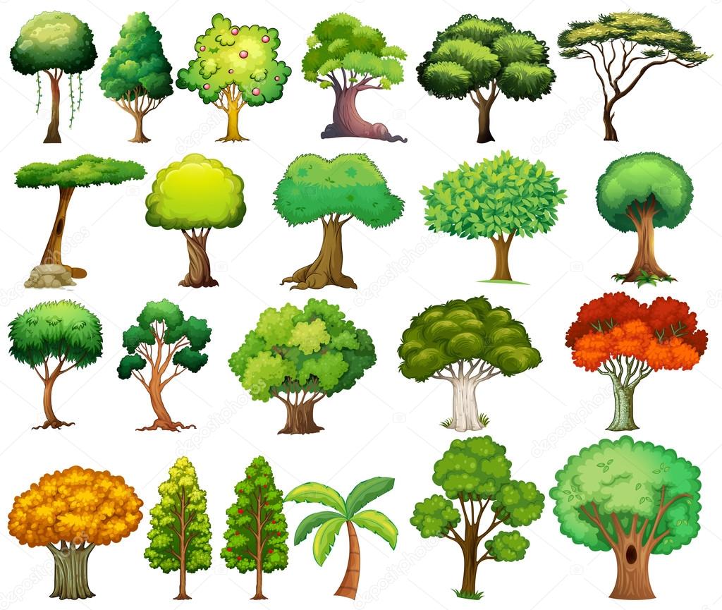 Set of trees