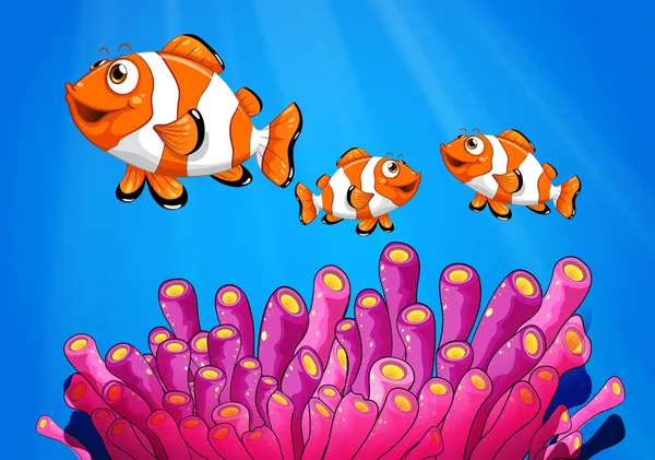 Clownfishes 在海之下 — 图库矢量图片