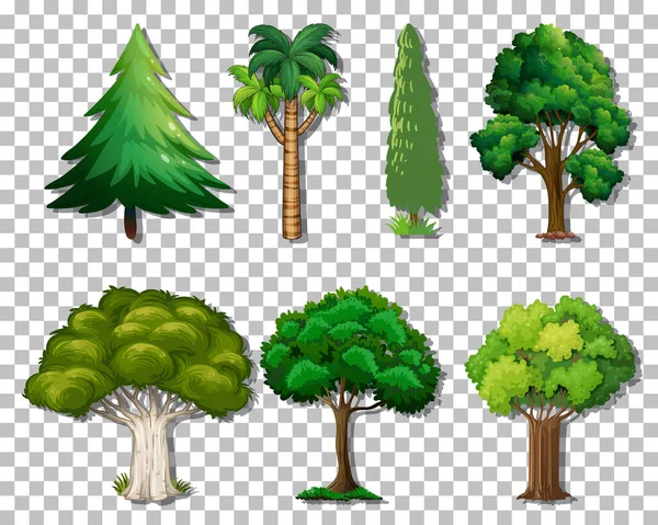 Ensemble Variétés Arbres Sur Fond Transparent Illustration — Image vectorielle