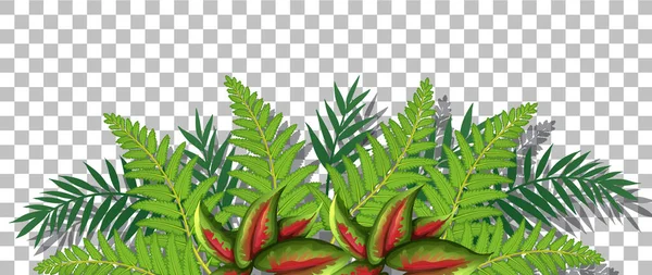 Herbe Plantes Sur Fond Transparent Pour Illustration Décor — Image vectorielle