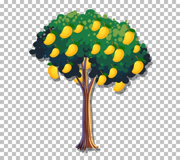 Mango Träd Transparent Bakgrund Illustration — Stock vektor