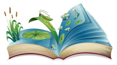 pop-up kitap 