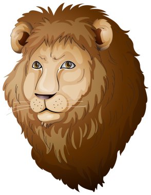 Aslan yüz