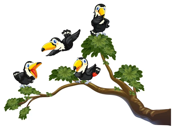 Toucan et arbre — Image vectorielle