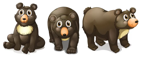 Чёрные медведи — стоковый вектор