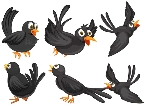 Fekete madarak — Stock Vector