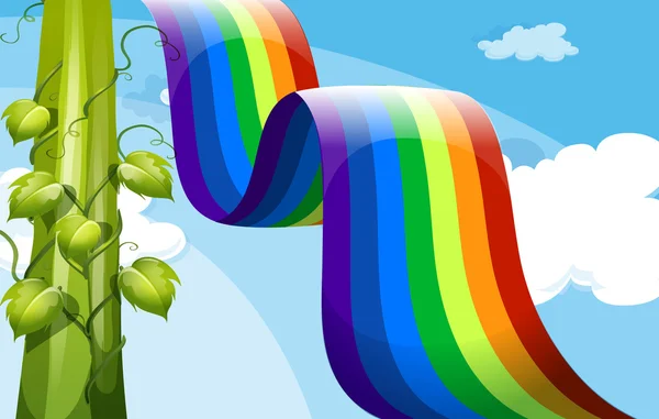 Um arco-íris e uma planta de vinha alta — Vetor de Stock