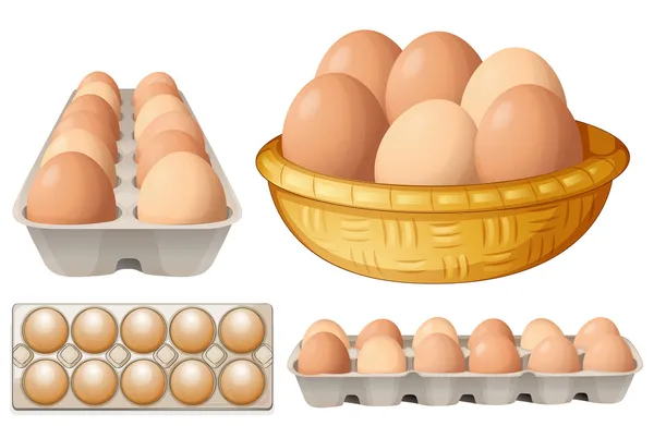 Huevos — Archivo Imágenes Vectoriales