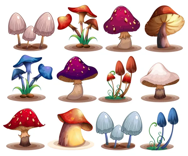 M ushroom ayarla — Stok Vektör