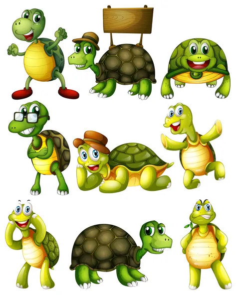 Turtle  actions — Stock Vector