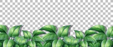 Dekor illüstrasyonu için saydam arkaplanda otlar ve bitkiler