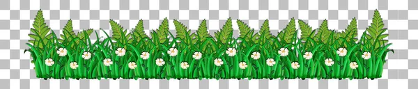 装飾イラストのための透明な背景の草や植物 — ストックベクタ