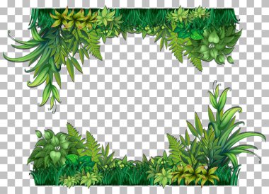 Doğa bitkileri şeffaf arkaplan çizimi