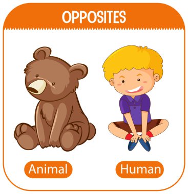 Hayvan ve insan örnekleriyle karşıt kelimeler