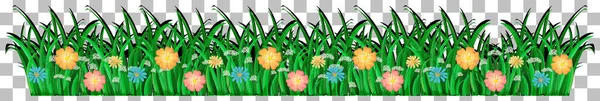 Herbe Plantes Sur Fond Transparent Pour Illustration Décor — Image vectorielle