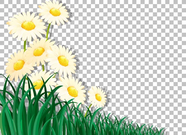 Weiße Blumen Rahmen Vorlage Auf Transparentem Hintergrund Illustration — Stockvektor