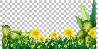 Doğa bitkileri şeffaf arkaplan çizimi