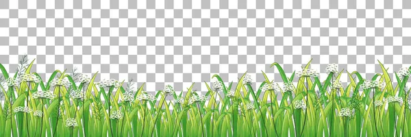 Herbe Plantes Sur Fond Transparent Pour Illustration Décor — Image vectorielle