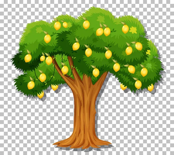 Şeffaf Arkaplan Illüstrasyonunda Limon Ağacı — Stok Vektör