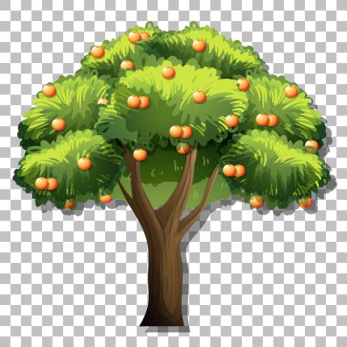 Şeffaf arkaplan illüstrasyonunda portakal ağacı