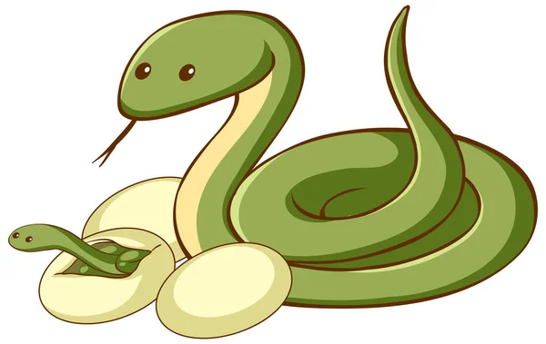 Serpiente Verde Con Huevos Animal Dibujos Animados Sobre Fondo Blanco — Vector de stock