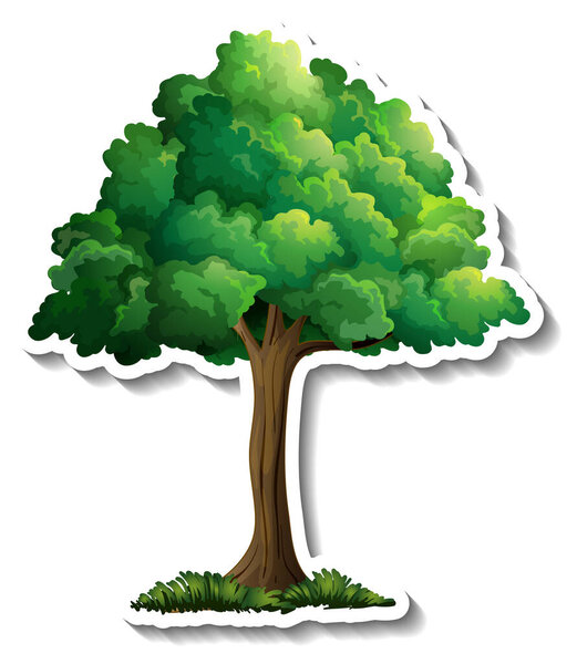 A tree with green leaves sticker on white background illustration