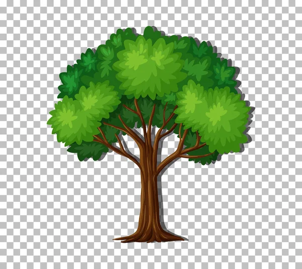 Baum Auf Transparentem Hintergrund — Stockvektor