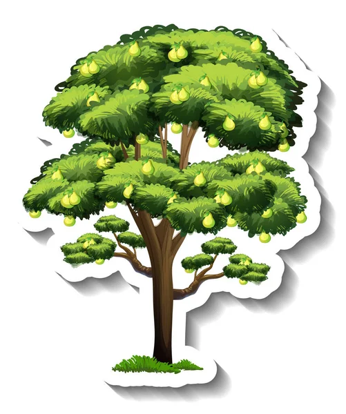 Päron Träd Klistermärke Vit Bakgrund Illustration — Stock vektor