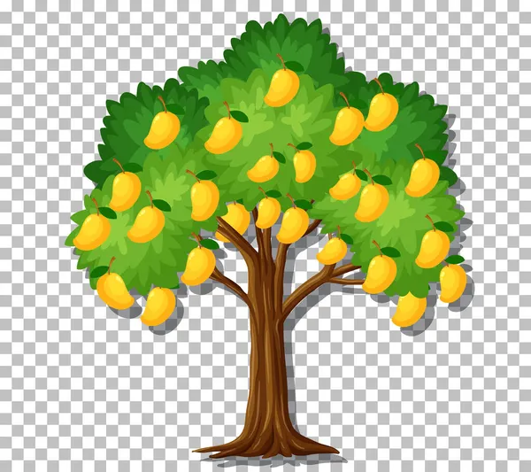 Árbol Mango Sobre Fondo Transparente Ilustración — Vector de stock