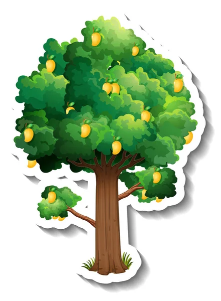Stiker Pohon Mangga Pada Ilustrasi Latar Belakang Putih - Stok Vektor