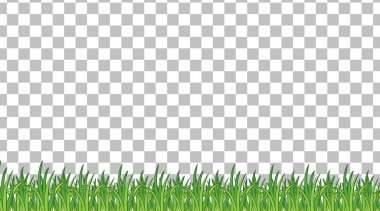 Şeffaf arkaplan illüstrasyonunda basit çim alanı