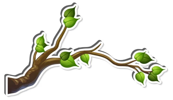 Strom Větev Několika Listy Samolepka Bílém Pozadí Ilustrace — Stockový vektor