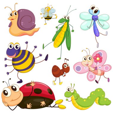 Different insects clipart