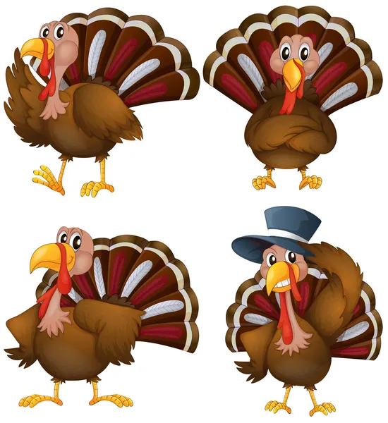 Turkey set — Stock Vector