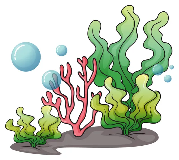 Морские водоросли под водой — стоковый вектор